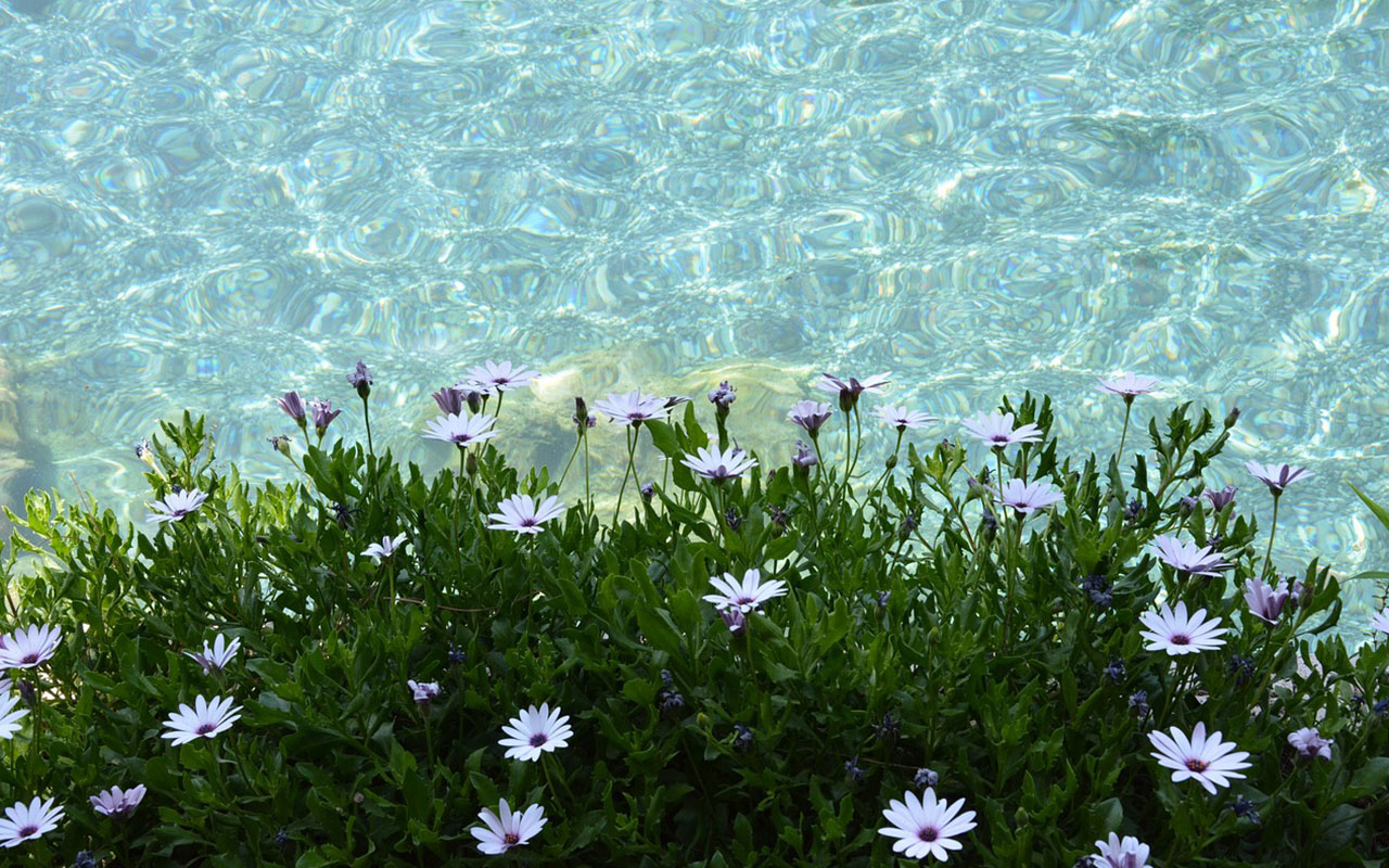 pamukkale1_1.jpg
